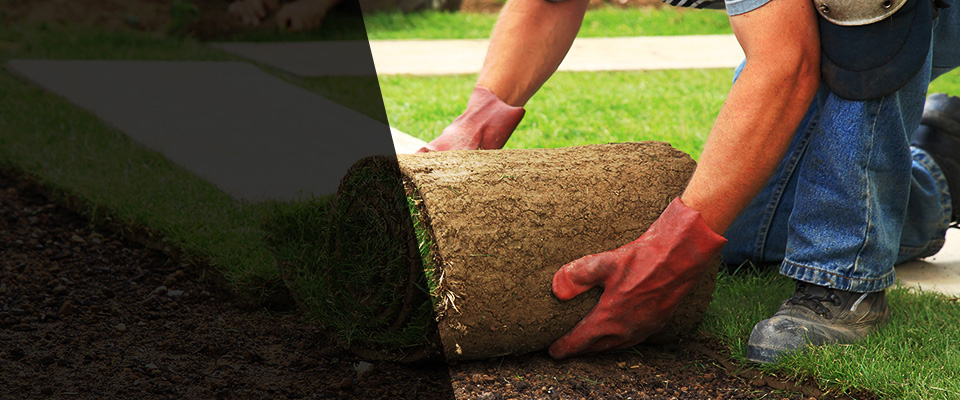 Eielson Afb Landscapers